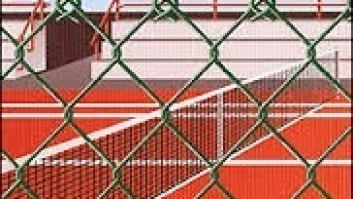 Wicker Mesh Fence (Zn+RAL6005)