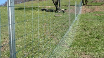 Agricultural fence mesh with metal poles