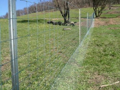 Agricultural fence mesh with metal poles